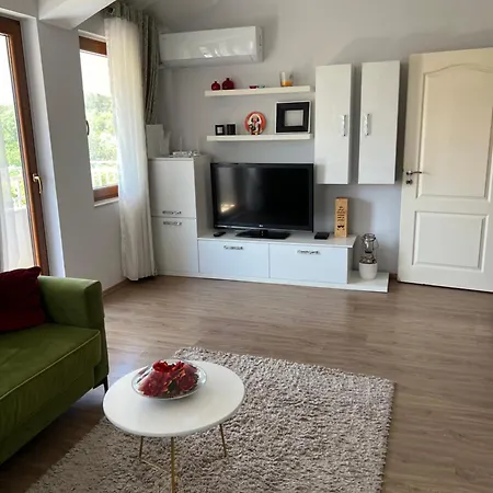 Daire Artificial View Tiran