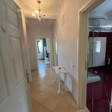 Artificial View Tiran