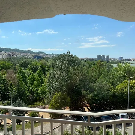 Artificial View Daire *