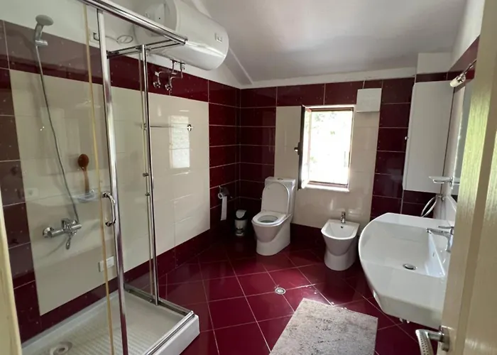 Artificial View Тирана